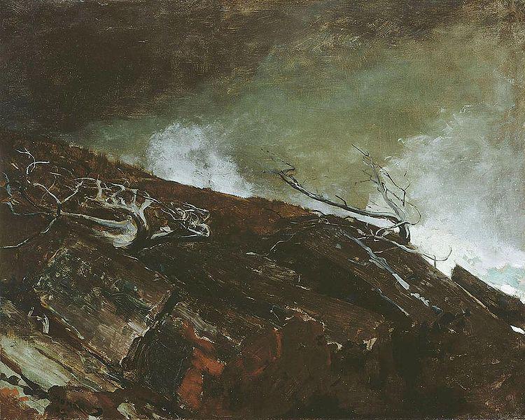 Winslow Homer Coast of Maine